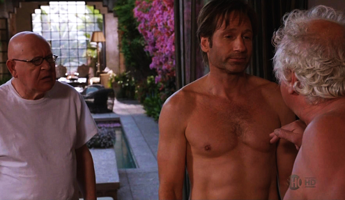 californication-hank-lars-small.png