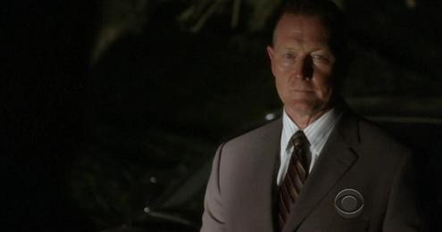 robert_patrick_ncis_2009_c_small.jpg